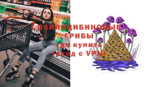 МДПВ Костерёво