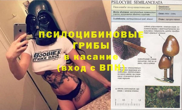 МДПВ Костерёво
