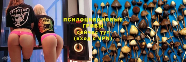 прущая мука Краснослободск