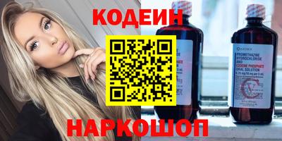 стаф Гай