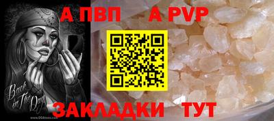 стаф Гай