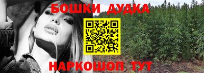 стаф Гай