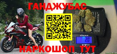 стаф Гай