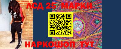 mdma Гатчина