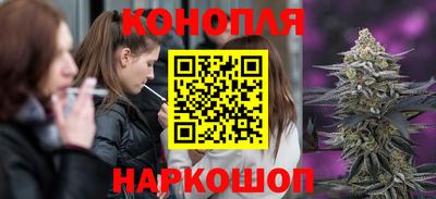 mdma Гатчина
