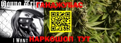 стаф Гай