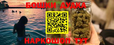 стаф Гай
