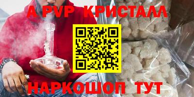 стаф Гай