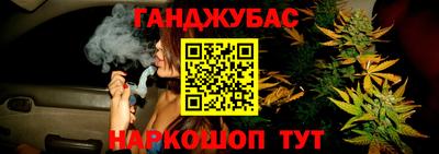 стаф Гай