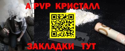стаф Гай