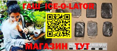 стаф Гай