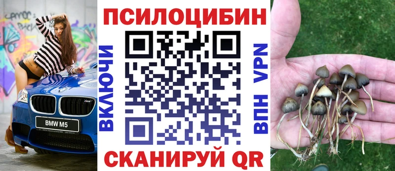 кракен   Михайловка  Галлюциногенные грибы Psilocybe 
