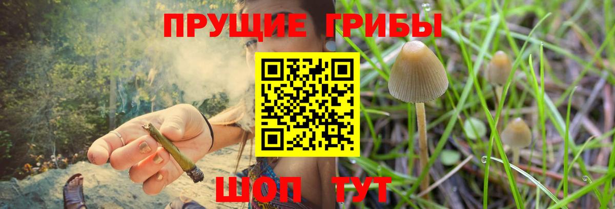 Михайловка  Галлюциногенные грибы Magic Shrooms  Вход с VPN 